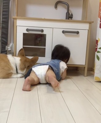 必死に手を伸ばします