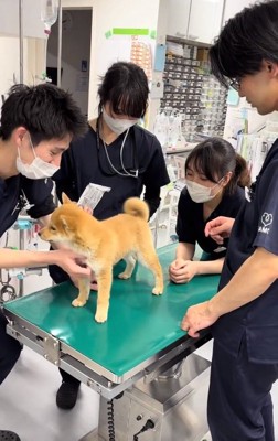 ゆずちゃんと先生たち