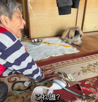 「これ誰？」