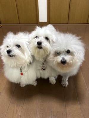 仲良し家族