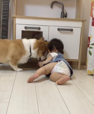 ゆいちゃん「とれたよ」