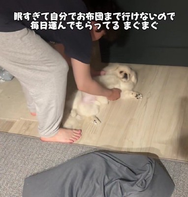 眠すぎてお布団に行けない…