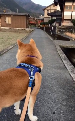 気づかなかったあお君