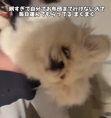 そのまま持ち上げられていった