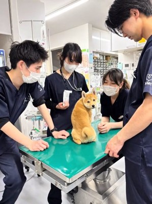 平和な処置室