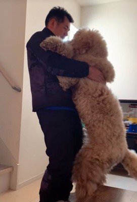 抱っこで階段を降りる大型犬
