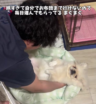 ベッドに置いても動かない