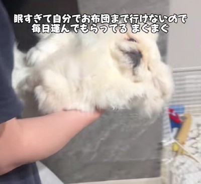 されるがまま…