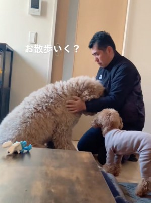 パパの顔を見つめる大型犬