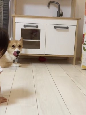 チラリッ