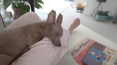 甘えん坊さんに戻りました♡