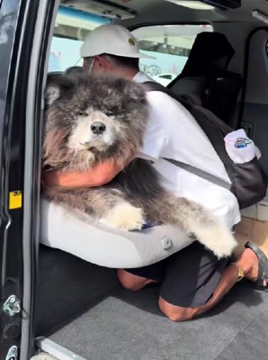 助手席で降車拒否！！