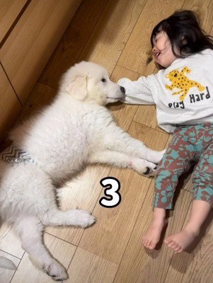 同じくらいの大きさ