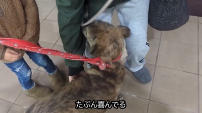 お次はママさんにご挨拶