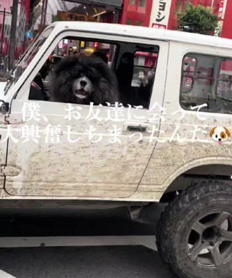 友達を見つけた小次郎くん