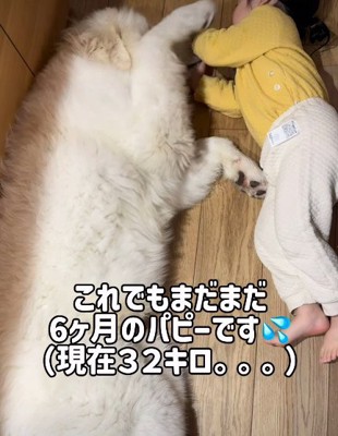 大きくなっても仲良し♡