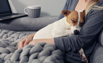 抱っこされる犬