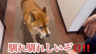 ロックくんは不満そう