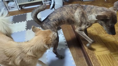 お家に到着