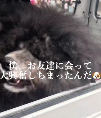 助手席でグルグル