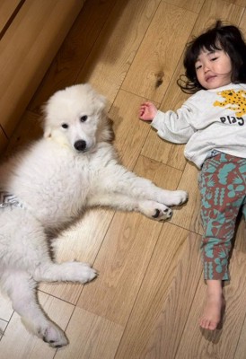 とと丸ちゃんと2歳の女の子