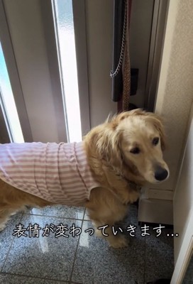 目を逸らすロイちゃん