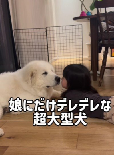 女の子への愛が止まらない