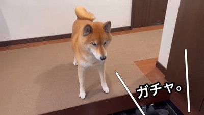 お母さんが来たら…