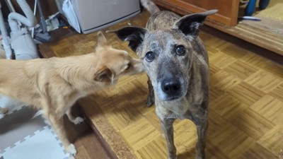 そばを離れません