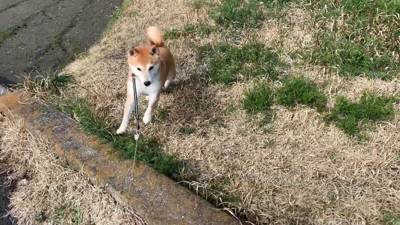 駆け寄ってきました！