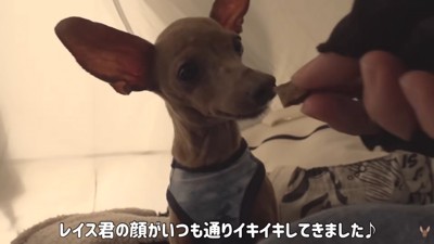 おやつタイム♪