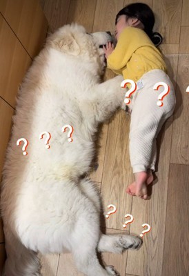 とと丸ちゃんだけ巨大化！！