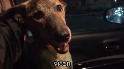 「すごく寂しかったよ～！」