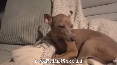 「僕、今日はひとりで寝る！」