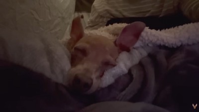 幸せそうな寝顔♡
