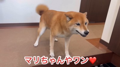 ロックくんは大喜び！
