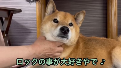愛を伝えながらナデナデ…