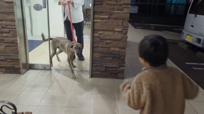 りゅうさんも弟くんも嬉しそう♪