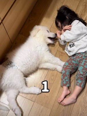 双子みたいな2人でしたが…
