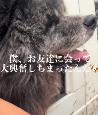 「会えてうれしい♡」