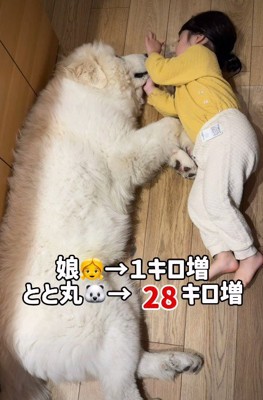 成長曲線違いすぎる…！！