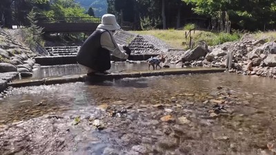 自然の中を散策