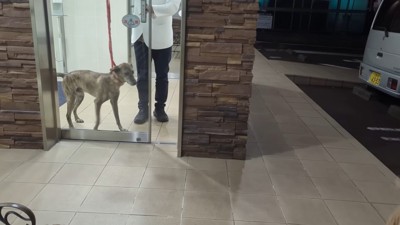 病院から出てくるりゅうさん