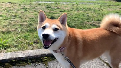 笑顔満開♡