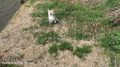 「パパ帰って来るよ」と言ったら…
