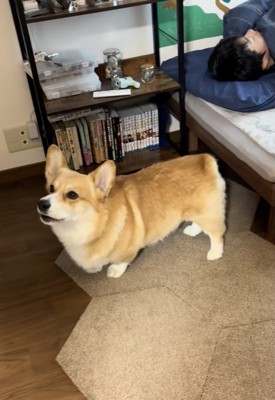 「起きてー！！」