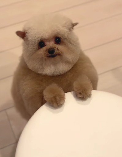 ユニークでかわいい♡