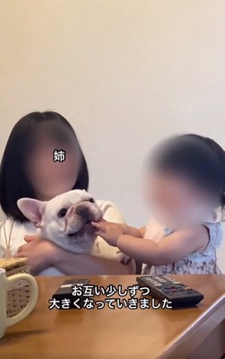 はなちゃんを触る女の子