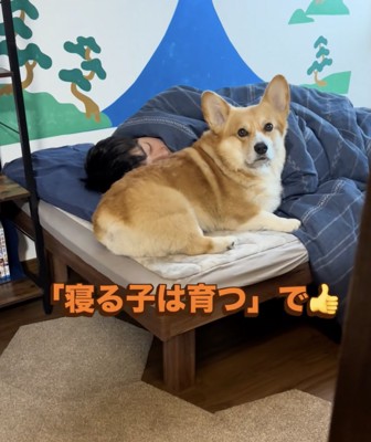 ジッさん、なぜかドヤ顔