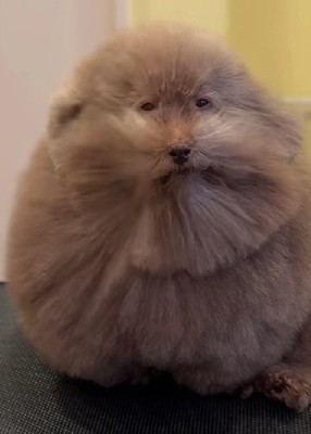 哀愁たっぷり